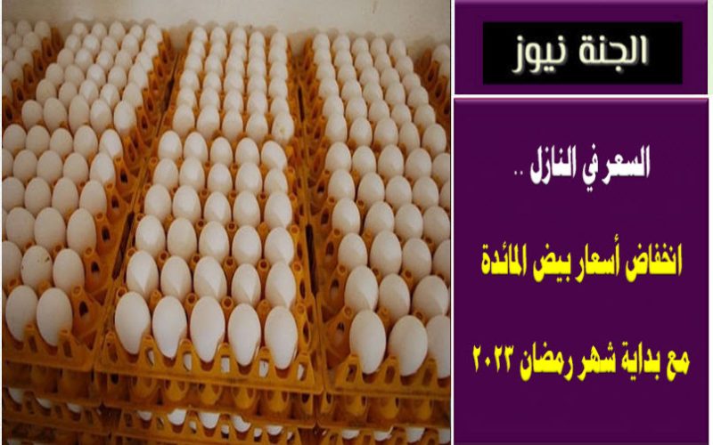 كرتونة البيض بكام؟ .. انخفاض أسعار البيض في شهر رمضان