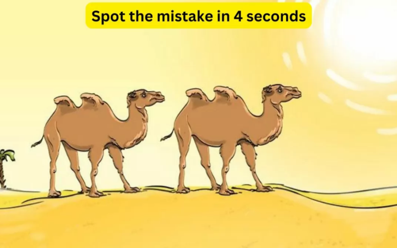 «للعباقرة فقط».. هل يمكنك اكتشاف الخطأ في الصورة خلال 4 ثوانٍ؟