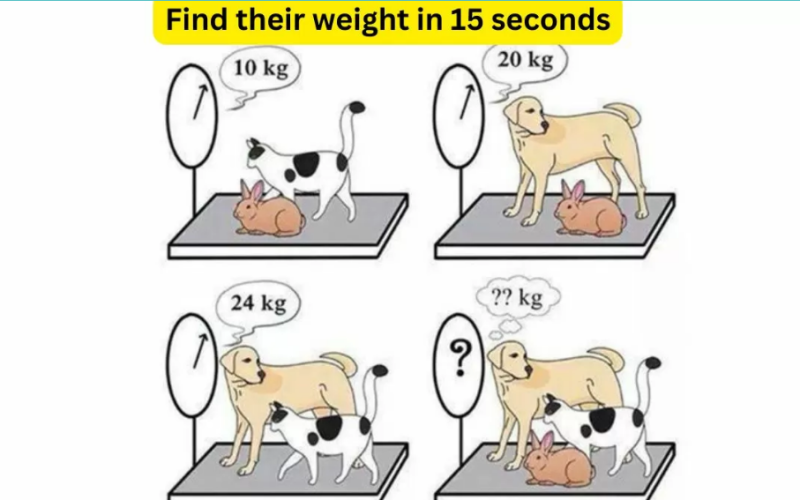 «اختبر ذكائك».. هل تستطيع التعرف على وزن القطة والكلب خلال 10 ثوان؟