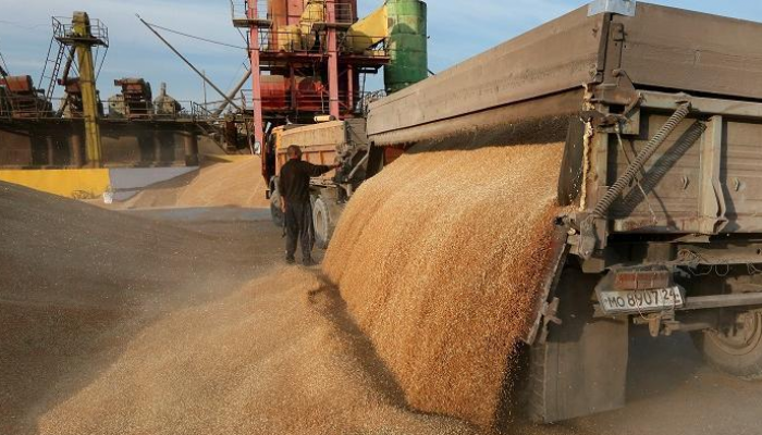 الحكومة توضح حقيقة التعثر في سداد مدفوعات واردات القمح من الخارج