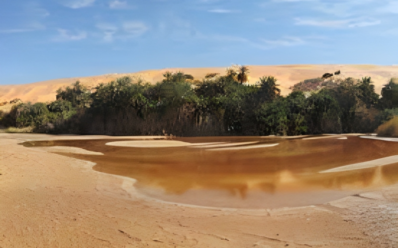 “مشهد غير مألوف”.. ظهور بحيرة عملاقة في صحراء ليبيا